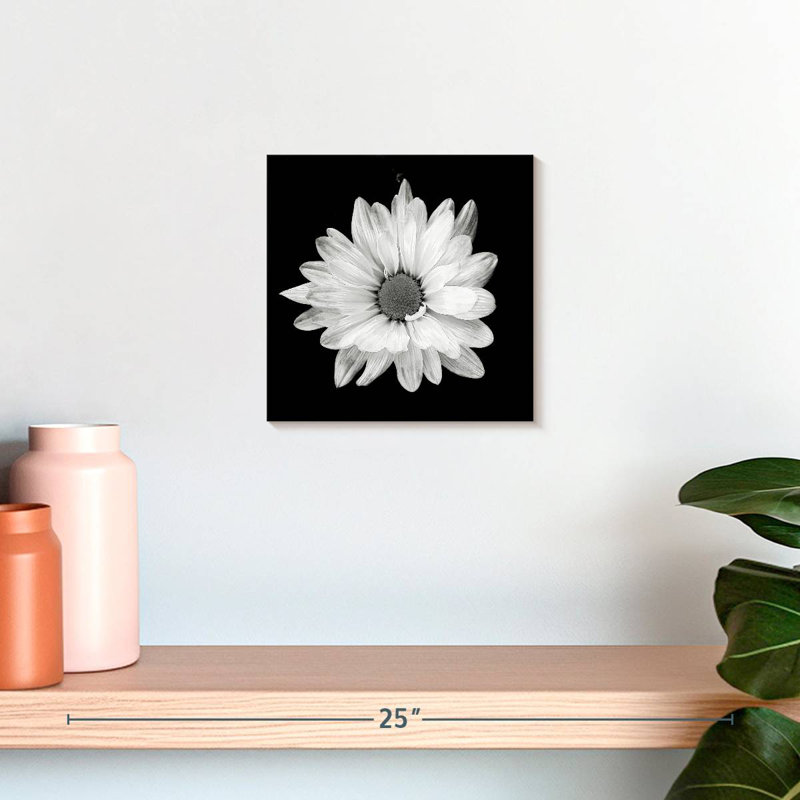 Harnek BW White Daisy, 10" H x 10" W