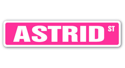 Astrid Street Sign Heavy Duty Plastic 4" X 18"