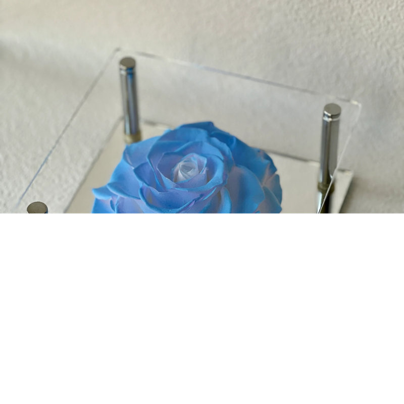 Arrangement de pivoines en boîte