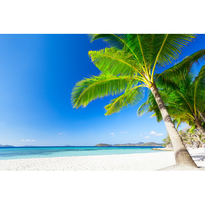 " Beauty Beach "