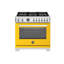 Professional Series Dual-Fuel Range 36" - 6 Brass Burners + Cast-Iron Griddle - Self-Clean Oven-1278389817