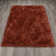 Petrey Indoor Rug