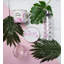 Ava & I Creative Tops 500ml