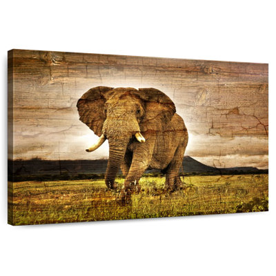 Brampt Wooden Texture Elephant