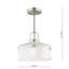 1 - Light Satin Nickel Pendant