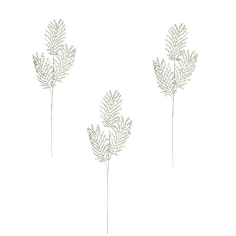 Silver Peacock Spruce
