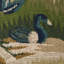 Gerry Embroidery Fabric