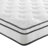 Modway Jenna Innerspring and Foam Mattress-112310293-112310285
