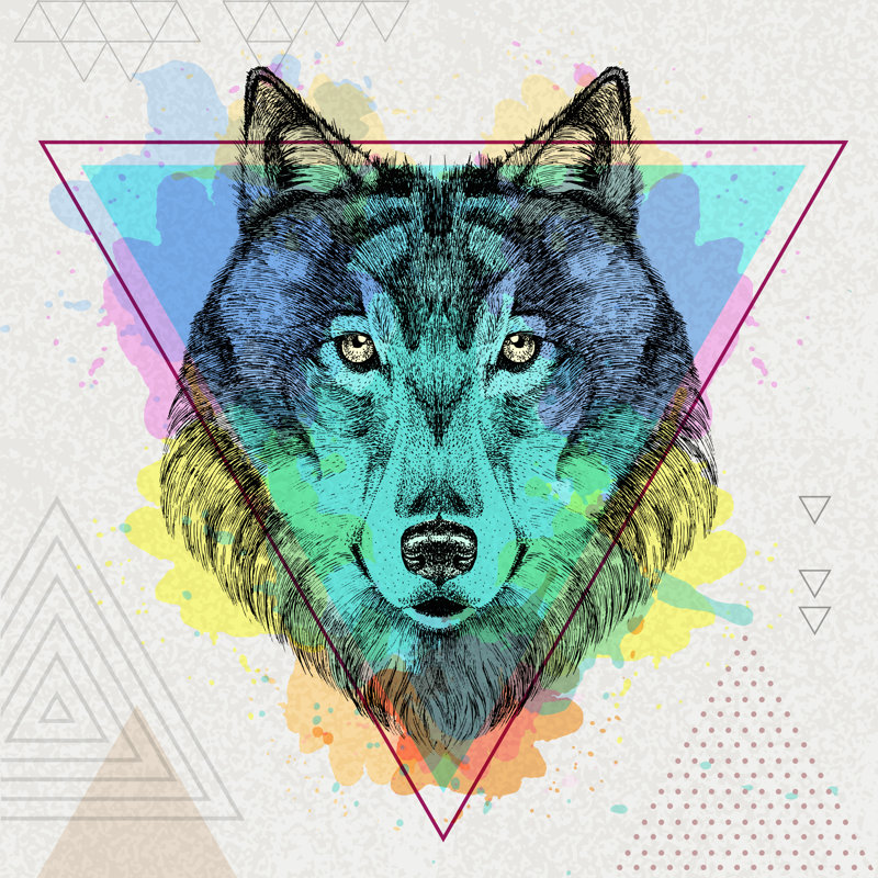 Animal Wolf - Wrapped Canvas Print, 91cm H x 91cm W x 3.8cm D