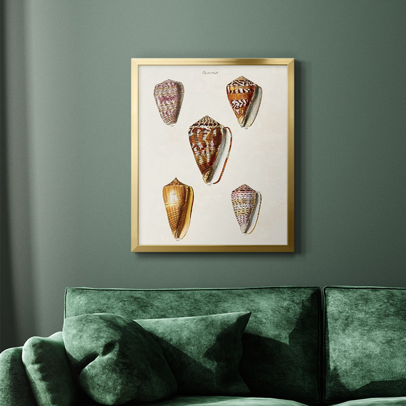 Toile encadrée de qualité supérieure Cone Shell Collection VI - prête à être accrochée, Or, H 24 po x l 20 po
