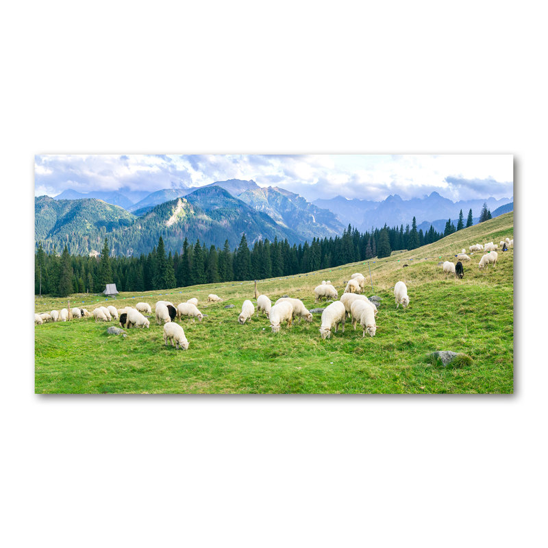 Sheep in the Tatras 1 Piece Wall Art on Canvas