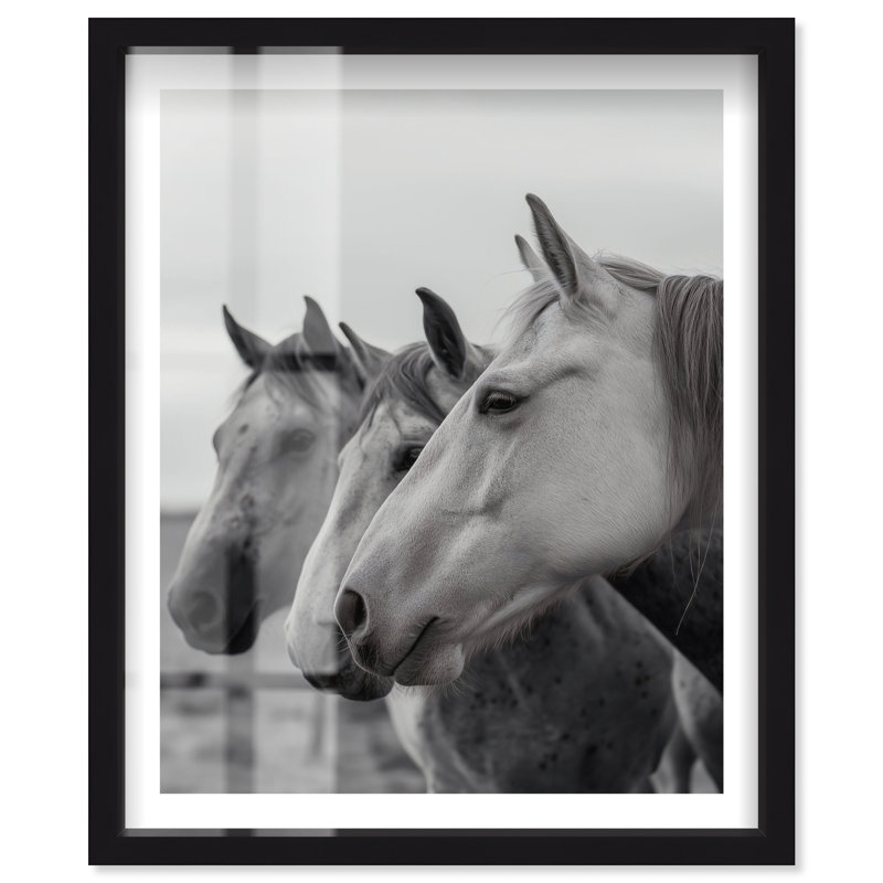 Art mural de salon Noble Beasts IV Shadowbox par Notoriart, cadre noir, 16 x 20, 21"H x 17"W, Black Frame