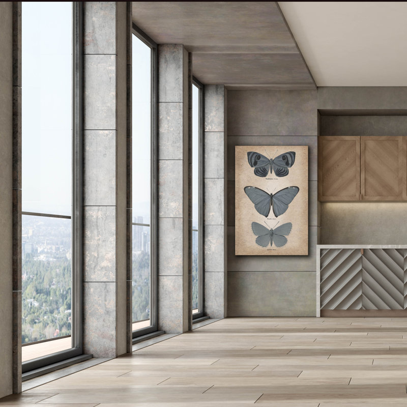 "Epic Graffiti" Vintage Butterflies Trio 1 "par Art Licensing Studio, art mural sur toile, 40 po x 60 po
