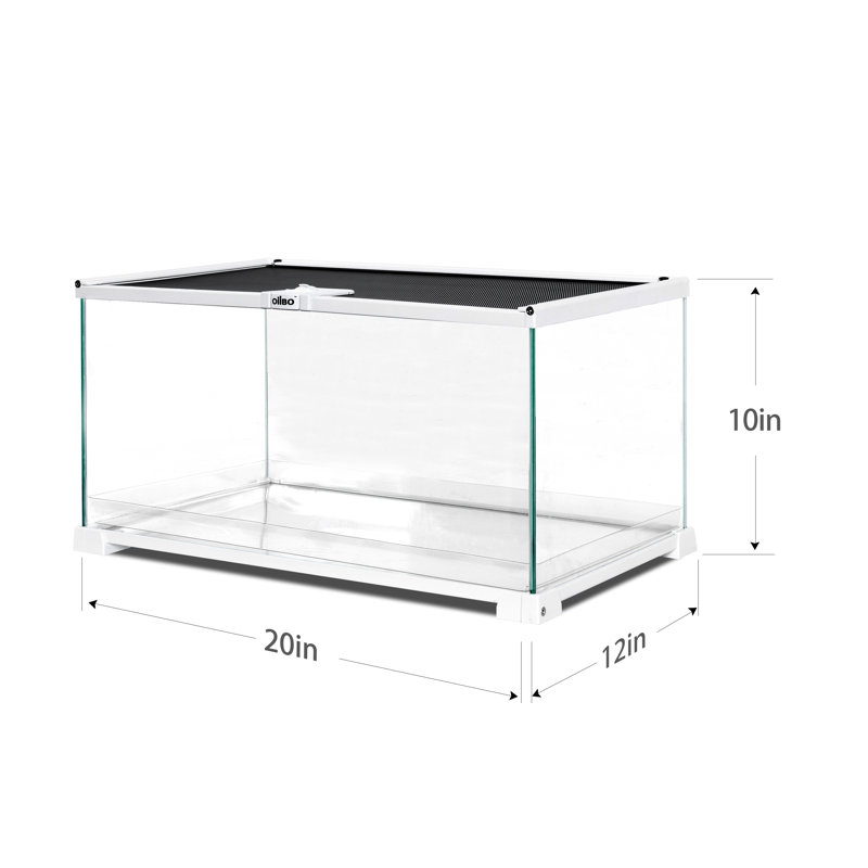 20'' x 12'' x 10'' Reptile Terrarium