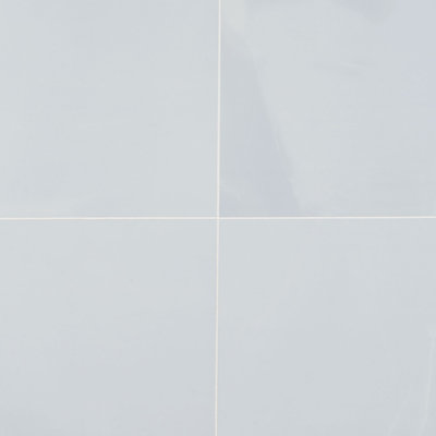 Everstone 12" x 24" Polished Marble Look Porcelain Floor and Wall Tile