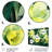 Plants & Flowers Wall Decor on Metal
