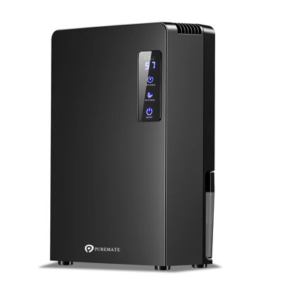 Dehumidifier with Air Purifier