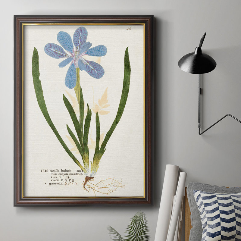 Toile encadrée de qualité supérieure avec impression nature de Botanicals, H 20 po x l 16 po x P 2,5 po