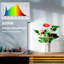 Maker Network Grow Light