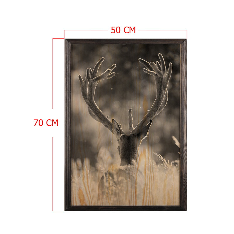 Perry Single Picture Frame Print on Wood, 70cm H x 50cm W x 2cm D