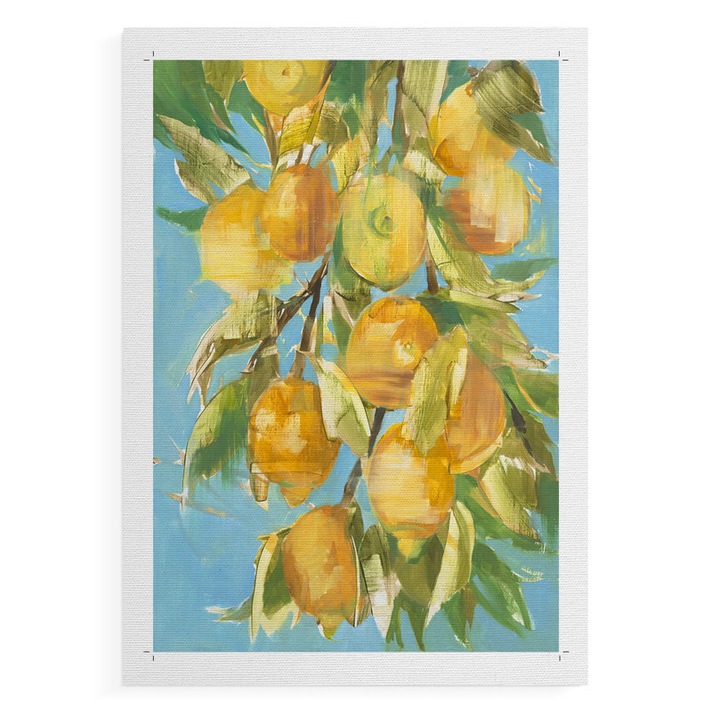 Joli citron - impression sur toile seulement - non encadrée, H 27 po x l 18 po