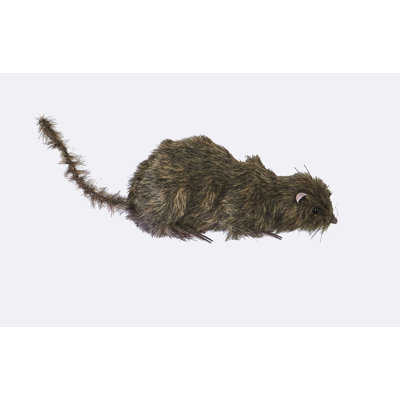 Halloween Rat Decorative Accent
