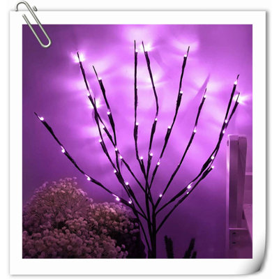 Net Lights