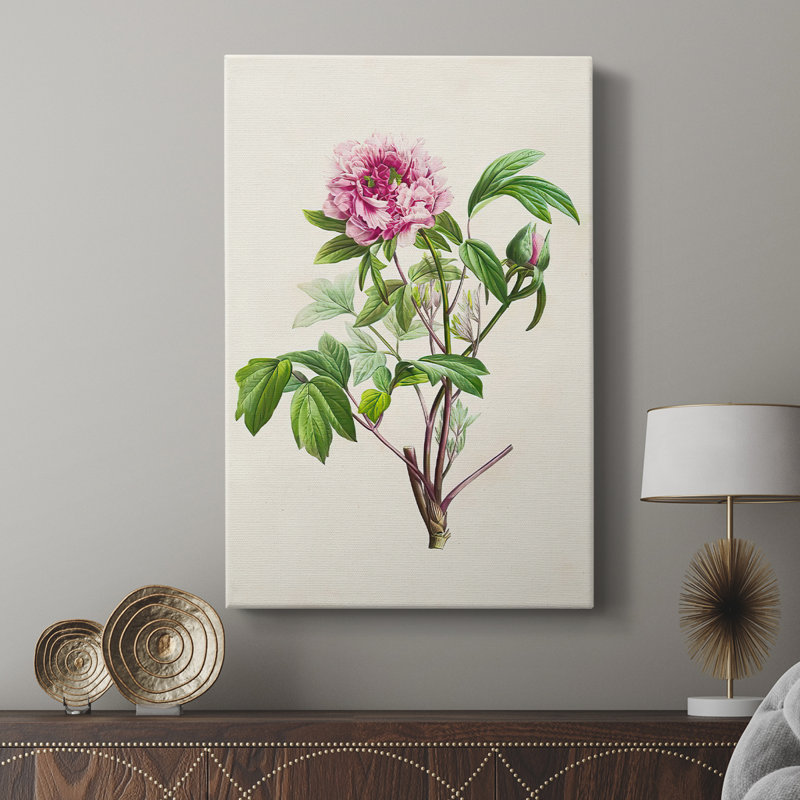 Pretty Pink Botanicals V - galerie sur mesure, H 60 po x l 40 po