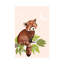 «One of a Kindness II» par Jo Taylor - reproduction-52518997-52519004-52518998