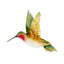 Décoration murale colibri-1773701053