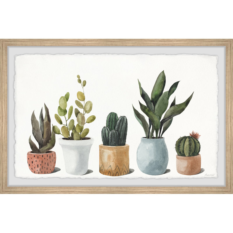 «Ultimate Succulent Collection», reproduction encadrée, H 20 po x l 30 po x P 1,5 po