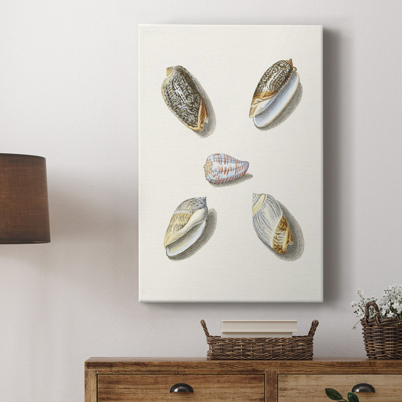 Pastel Knorr Shells III - Cavas enveloppés de galerie, H 18 po x l 12 po