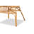 Curits Rattan Arm Chair in Brown