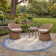 Galena Performance Oriental Indoor/Outdoor Area Rug