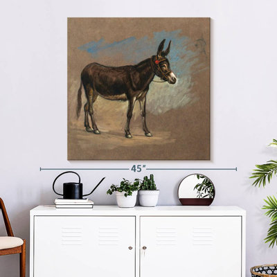 Brampt Study. A Mule