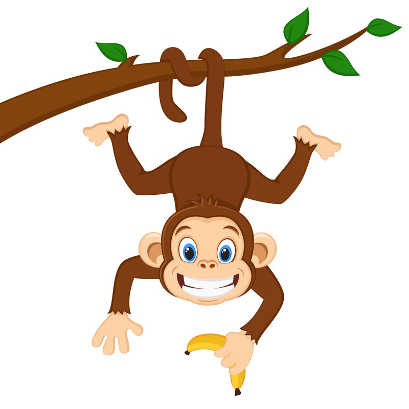 Monkey Is Hanging On A Branch And Holding A Banana On A White by Inna Tarasenko - Wrapped Canvas Print, 30cm H x 46cm W