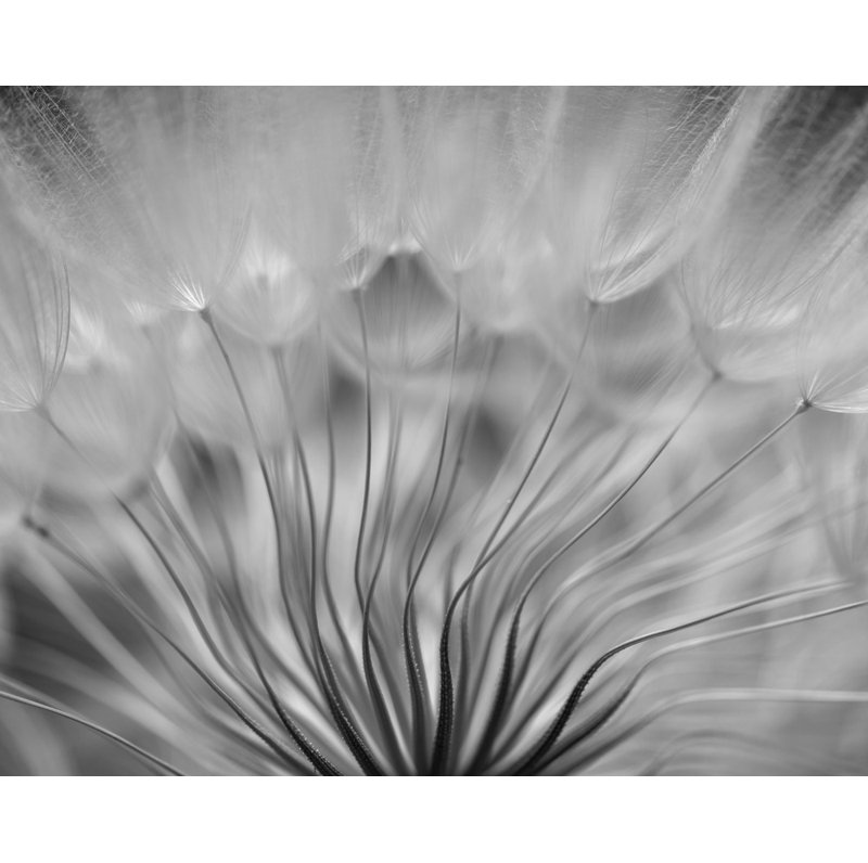 Wrapped Canvas Print, 60.96 cm H x 91.44 cm W