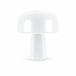 The Boleti Lamp
