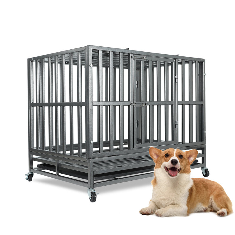 Cage pour chien 32/48 po robuste avec roulettes et cage en métal robuste, H 30,7 po x l 25,6 po x P 37,4 po