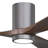 Olivier Ceiling Fan with LED Lights-1559777871-1534402144-1483043068