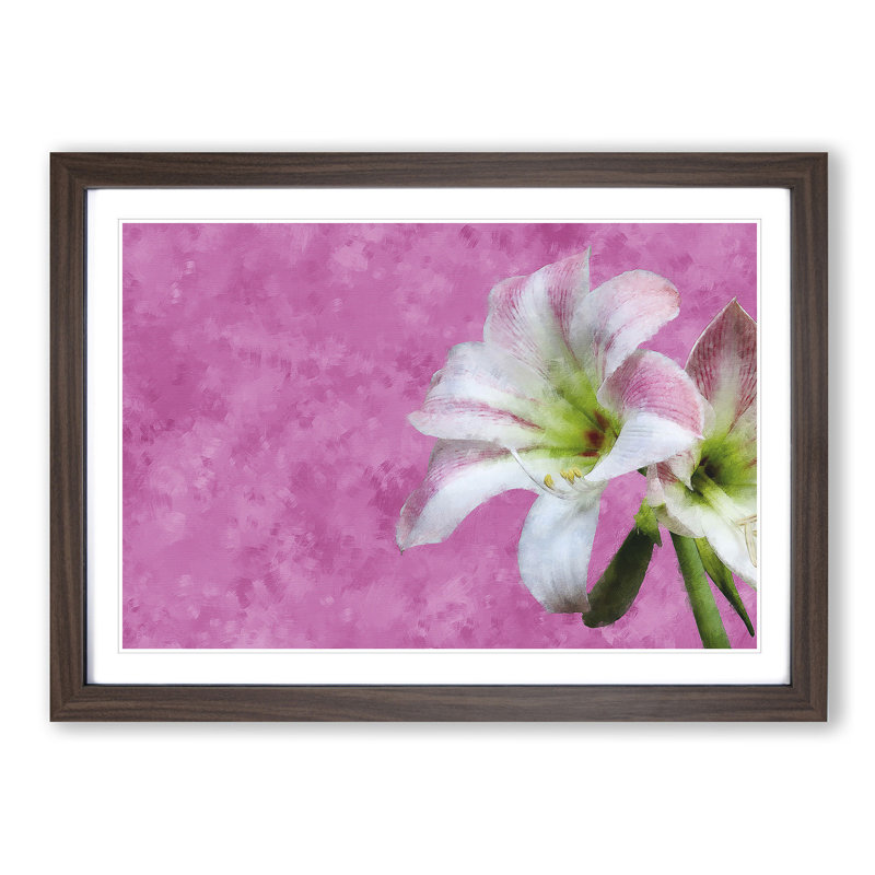 Pink and White Amaryllis Flower - Picture Frame Painting Print, Walnut Framed, 62cm H x 87cm W x 2cm D