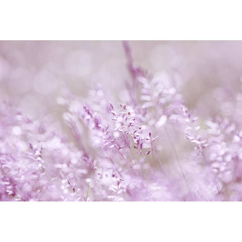 Nature Background by Jasmina007 - Wrapped Canvas Print, 81cm H x 122cm W x 3.8cm D