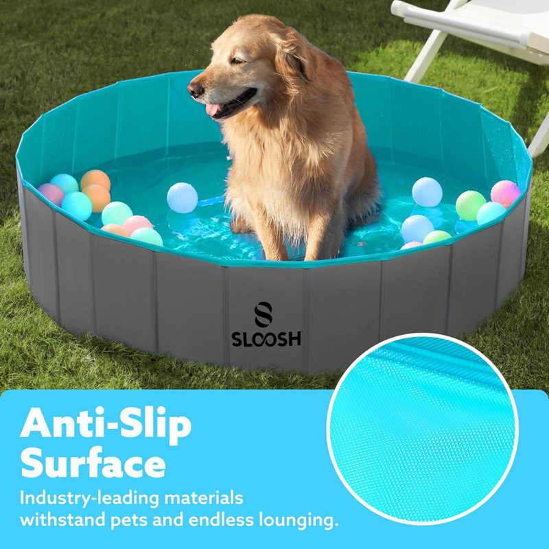 Piscine pliable pour chien Kiddie