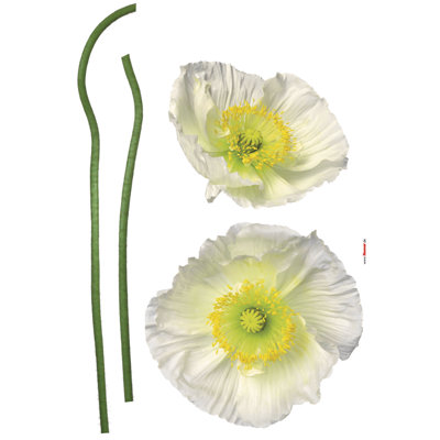 Wandaufkleber Pavot Blanc