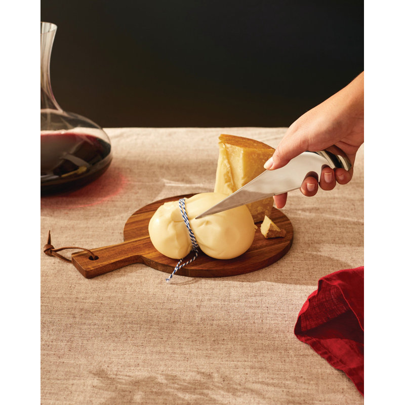 Antechinus Stainless Steel Cheese Knife