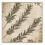 Tapis beige rustique lavable à la machine Ottwell Rosemary Country-1432708100