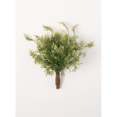 Branche de Wisteria