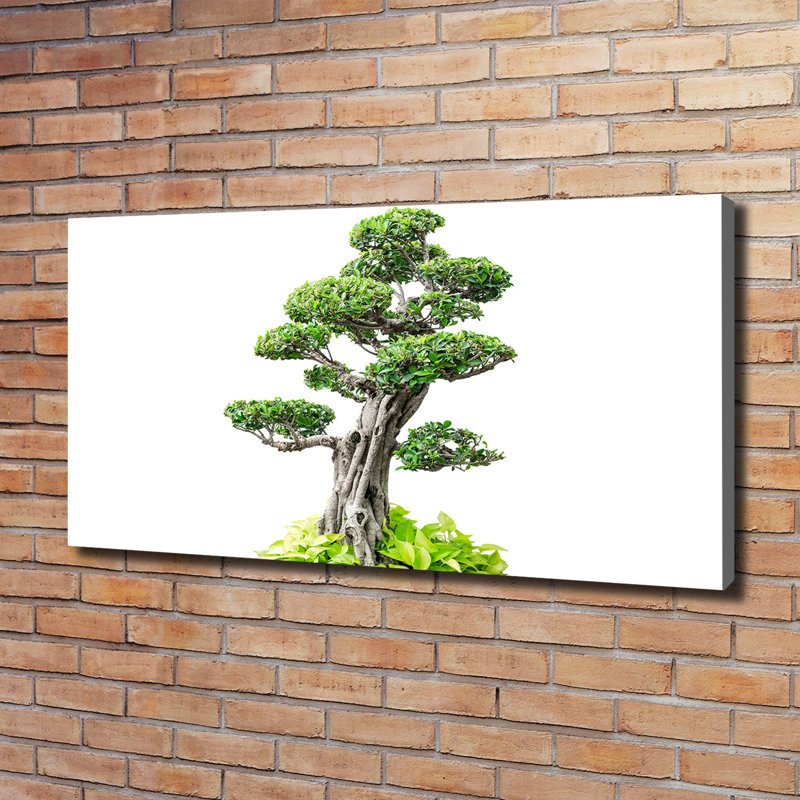 Bonsai Tree - Wrapped Canvas Print