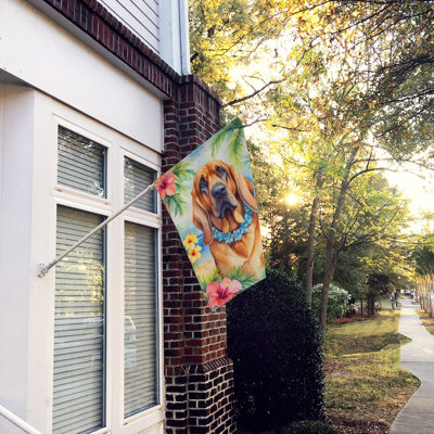 Drapeau pour animal à double face H 40 po x l 28 po
