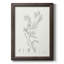 «Botanical Study in Sage II», reproduction d'art sur toile-480077639